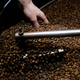 Person touches barrel of coffee beans